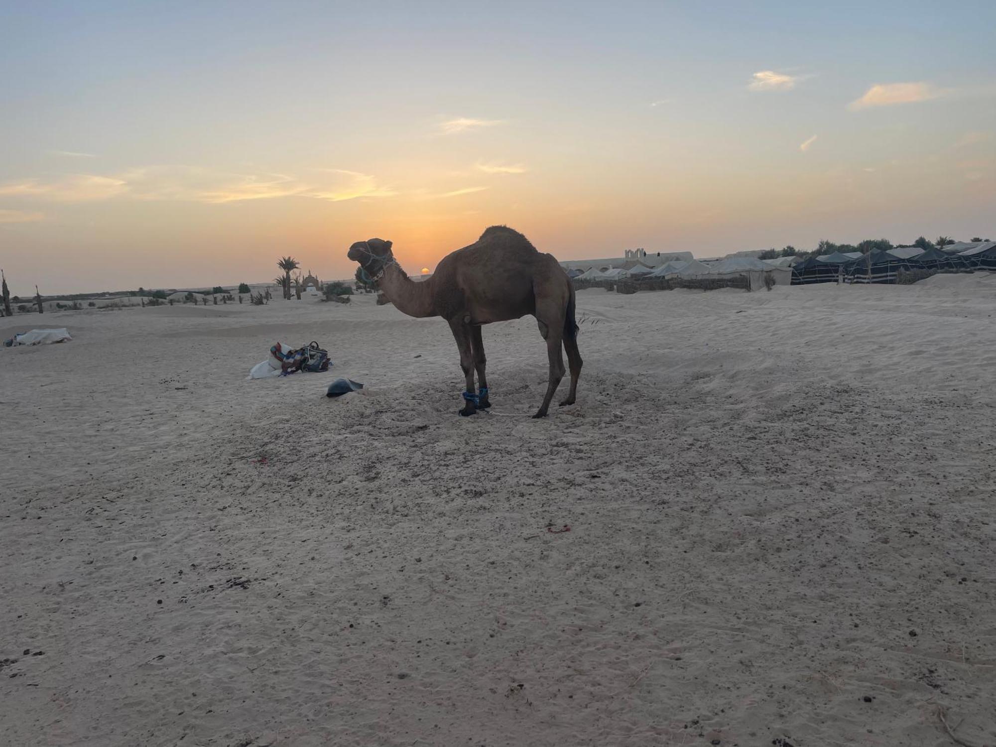Luxury Camp Dunes Insolites Şabrīyah Exterior foto